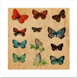 Watercolour Butterflies Posters and Art